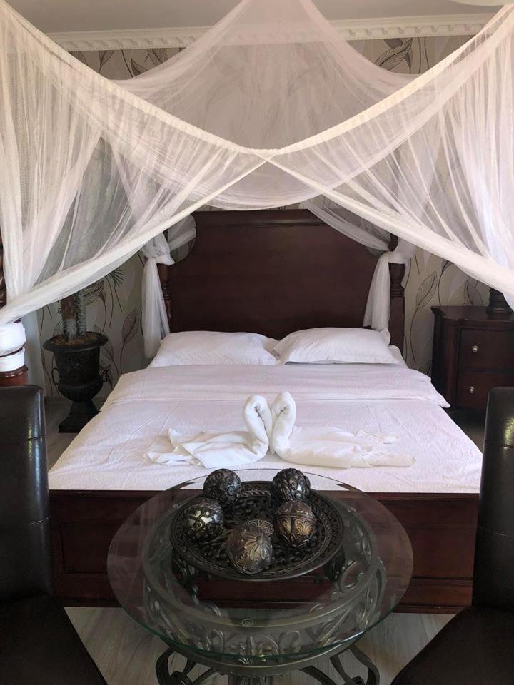 Vila Nicole Hotel Hateg Exterior photo